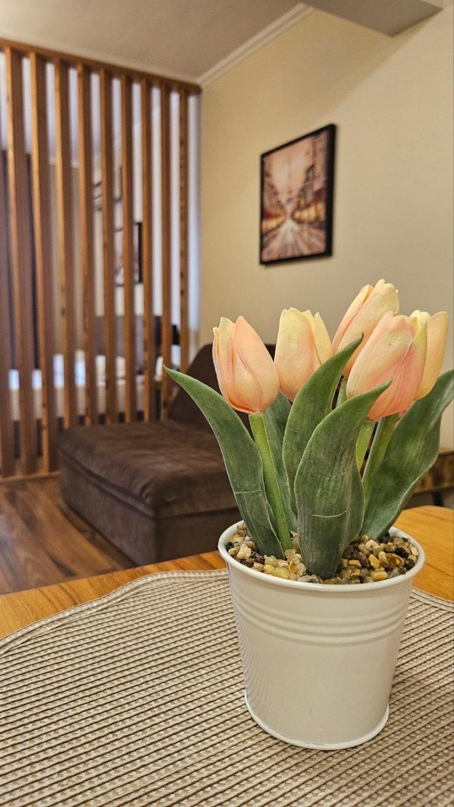 Apartment 7 And Studio 2 Quietly And Peaceful Place To Relax Sozopol Ngoại thất bức ảnh